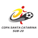 Copa Santa Catarina logo