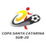 Copa Santa Catarina logo