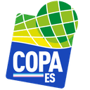 Copa Espírito Santo logo