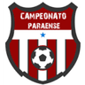 Paraense A3 logo