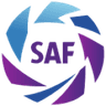 Primera D logo