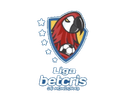 Liga Nacional logo