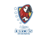 Liga Nacional logo