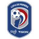 Division Profesional - Apertura logo