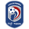 Division Profesional - Apertura logo