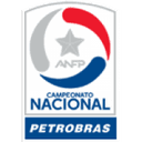 Primera División logo