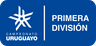 Primera División - Apertura logo