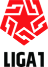 Primera División logo