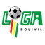 Primera División logo