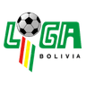 Primera División logo