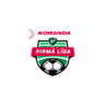 1. Liga logo