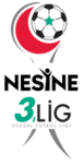 3. Lig - Group 2 logo