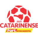 Catarinense - 1 logo