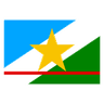 Roraimense logo