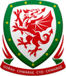 League Cup logo