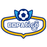 Copa de la División Profesional logo
