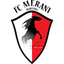 Merani Martvili logo