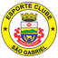 São Gabriel logo