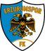 Erzurumspor FK logo