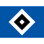 Hamburger SV U19 logo