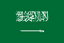 Saudi Arabia U20 logo