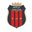 Al Riyadh logo