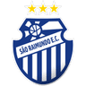 São Raimundo AM logo