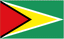 Guyana U20 logo