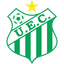 Uberlandia logo