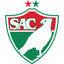 Salgueiro logo