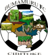 Bumamuru logo