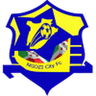 Ngozi City logo