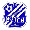 Notch logo