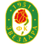Zvezdara logo