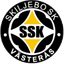 Skiljebo logo