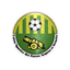 USFAS Bamako logo