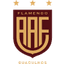 Flamengo SP U20 logo