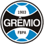 Grêmio U20 logo