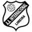 Inter Limeira U20 logo