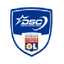 DSC logo