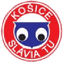 Slávia TU Košice logo