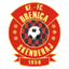 Drenica Skënderaj logo