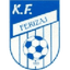 Ferizaj logo