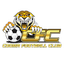 Cooma Tigers FC logo