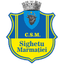 Sighetu Marmaţiei logo