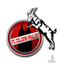 Feulen logo