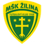 Žilina W logo