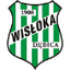 Wisłoka Dębica logo