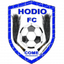 Hodio logo