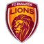 Bulleen Lions logo